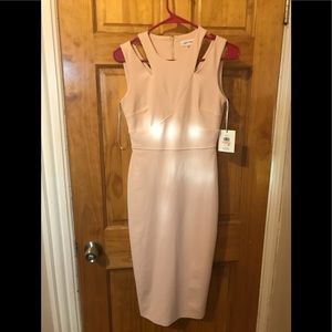 Light Pink Calvin Klein Dress